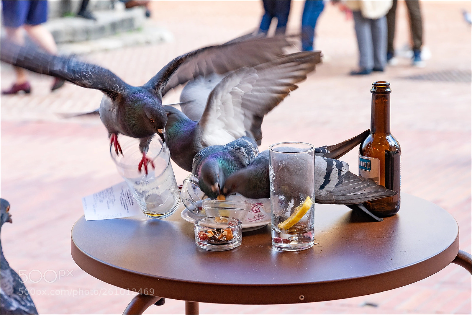 Sony a7 II sample photo. Uncontrolled photography