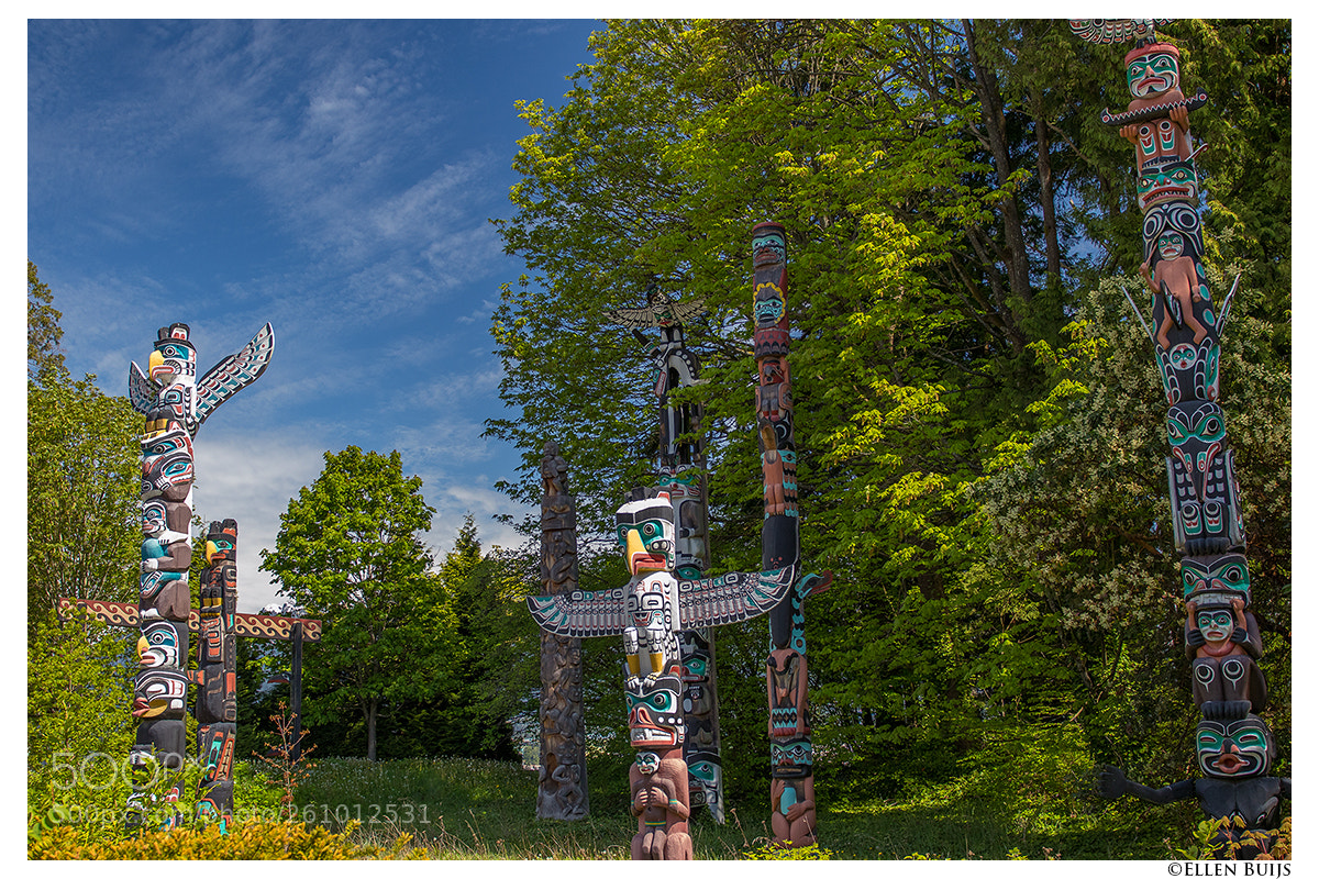 Canon EOS 7D Mark II sample photo. Canada 2018 photography