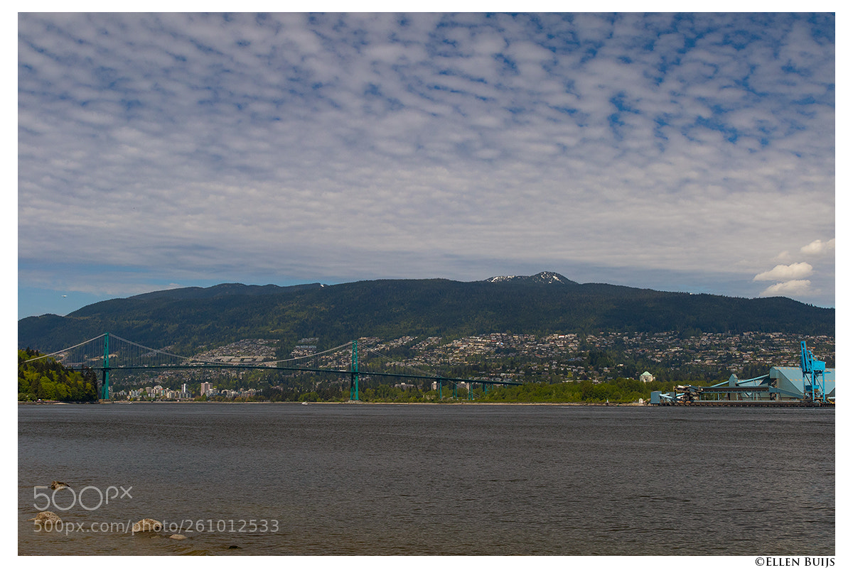 Canon EOS 7D Mark II sample photo. Canada 2018 photography