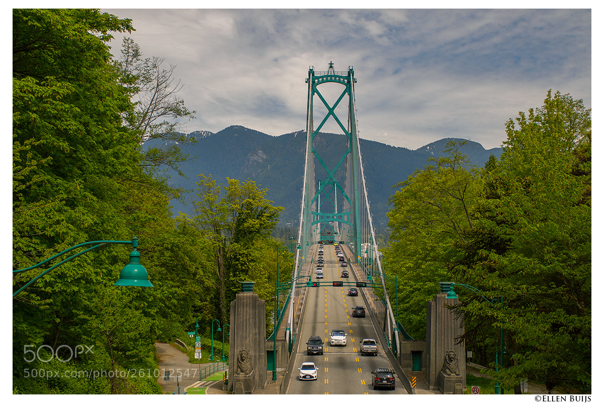 Canon EOS 7D Mark II sample photo. Canada 2018 photography