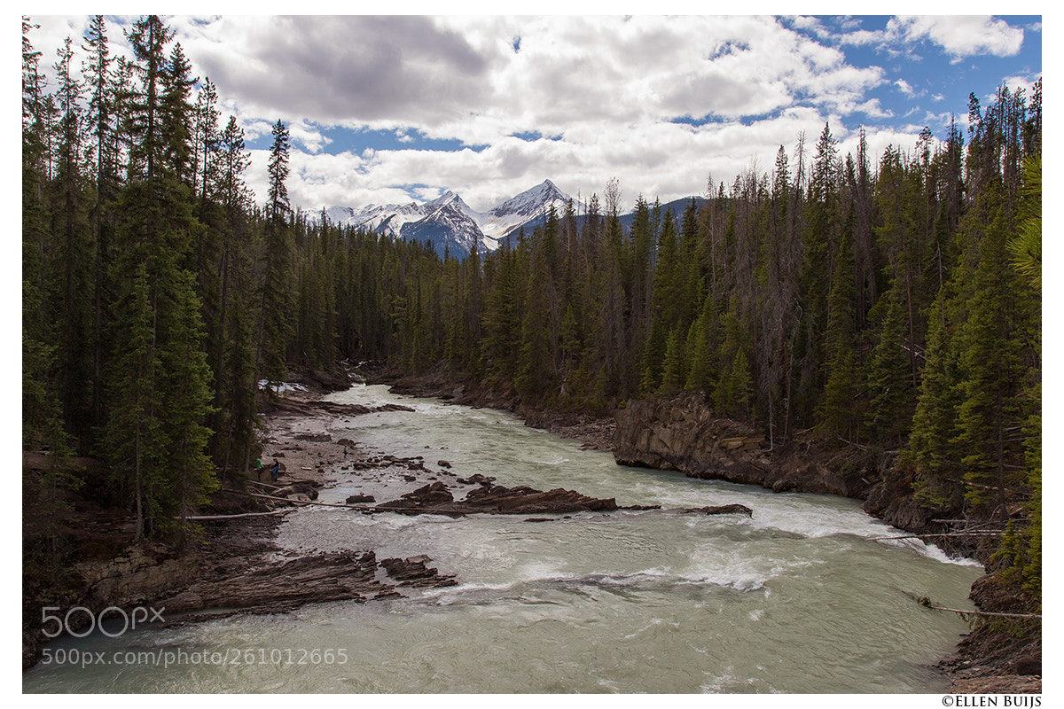 Canon EOS 7D Mark II sample photo. Canada 2018 photography