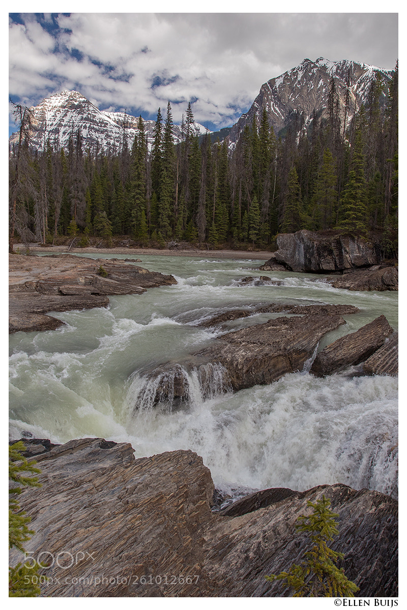 Canon EOS 7D Mark II sample photo. Canada 2018 photography