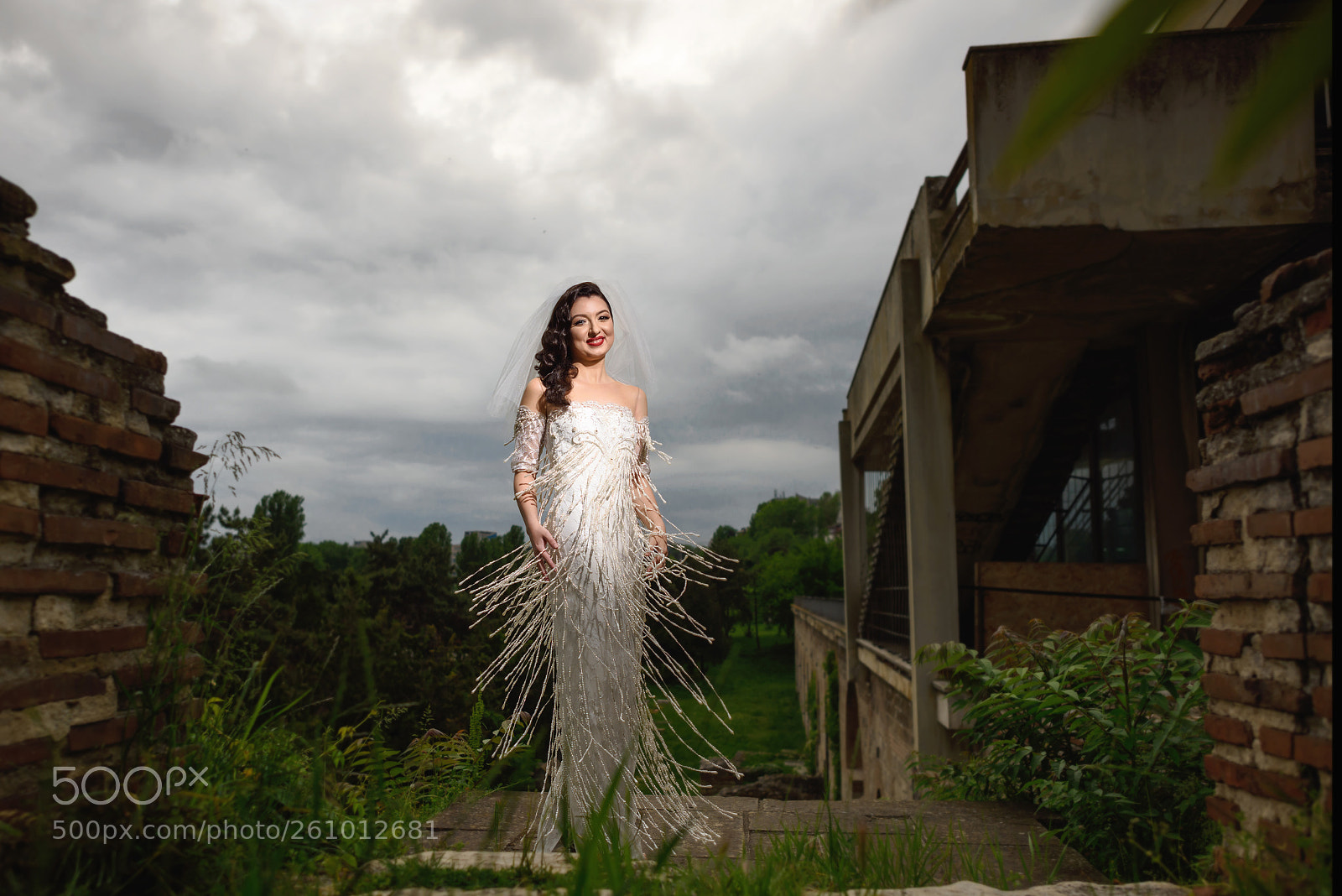 Nikon D810 sample photo. Gcr_8341-1.jpg photography