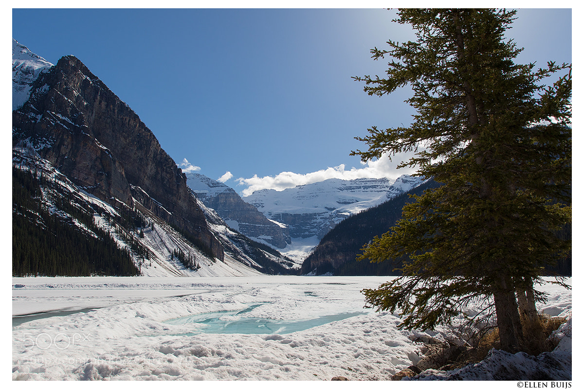 Canon EOS 7D Mark II sample photo. Canada 2018 photography