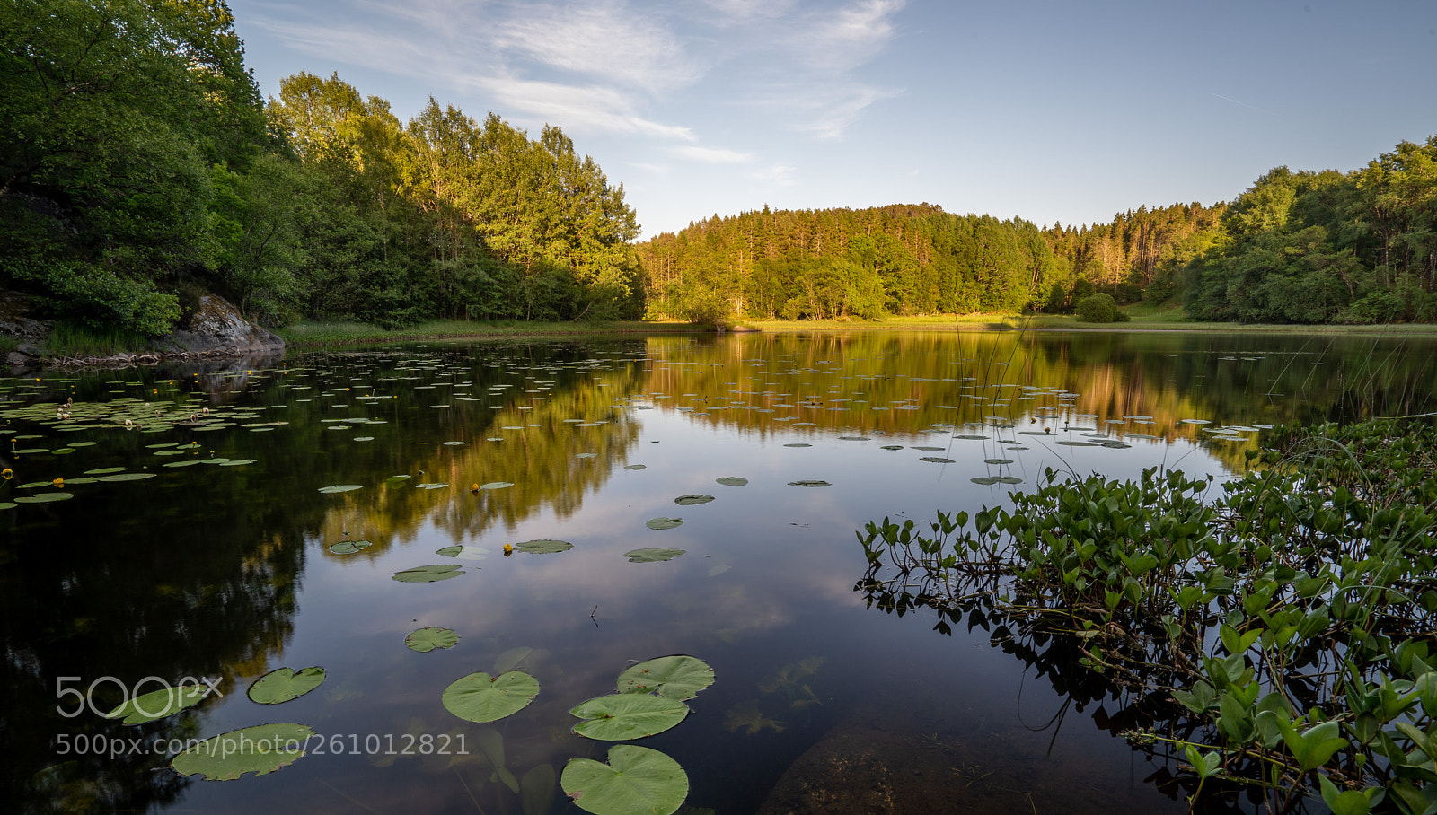 Sony a7 III sample photo. Evening by the lake photography