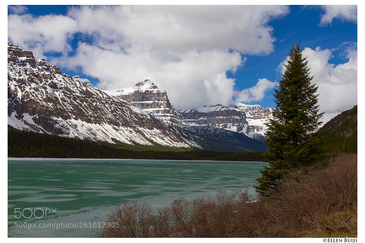 Canon EOS 7D sample photo. Canada 2018 photography