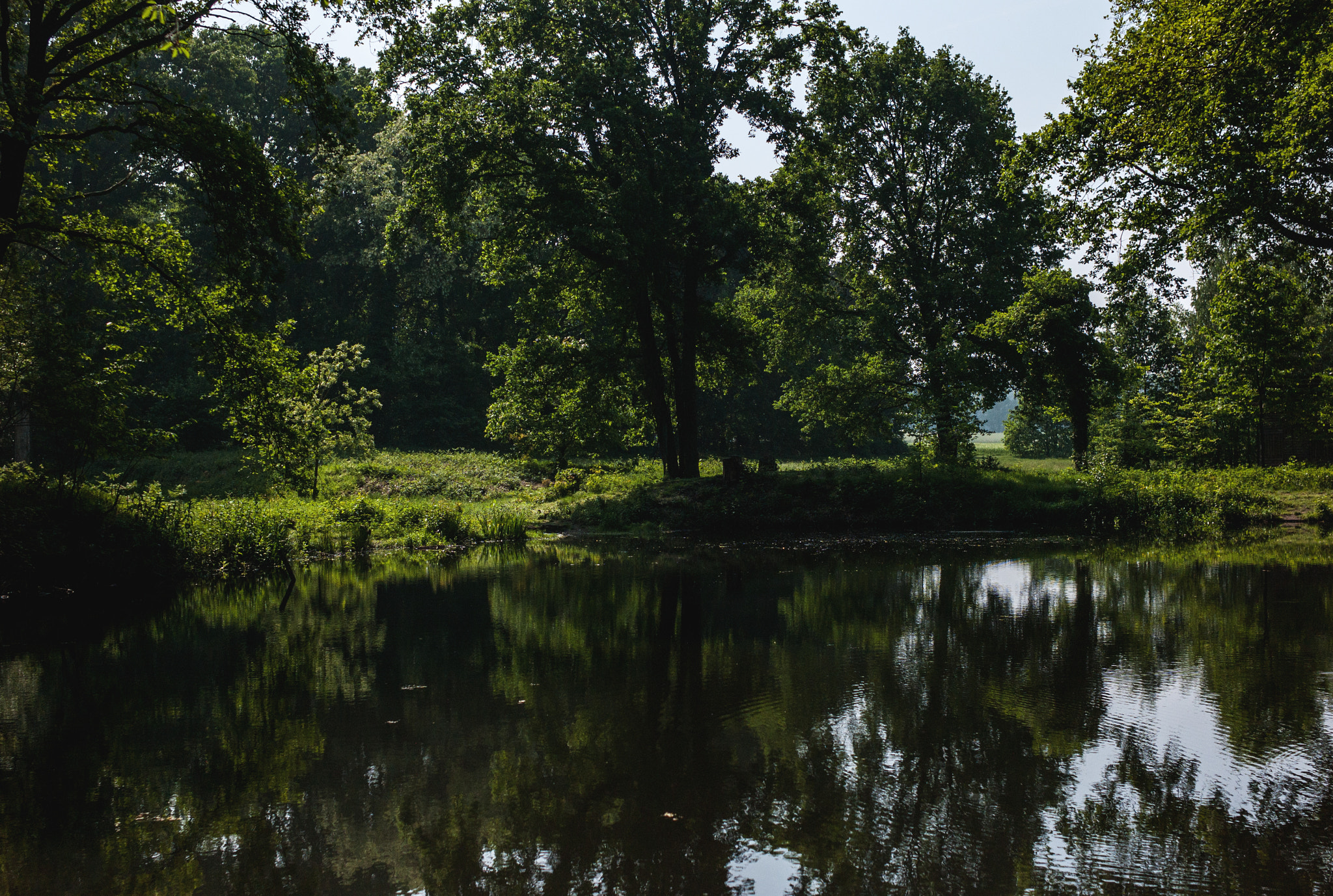 Leica M8 sample photo. Forest pond photography