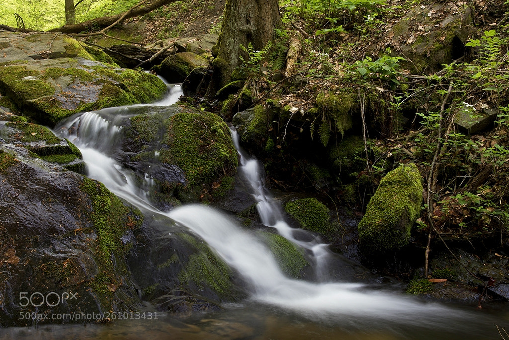 Canon EOS 7D Mark II sample photo. Stream photography