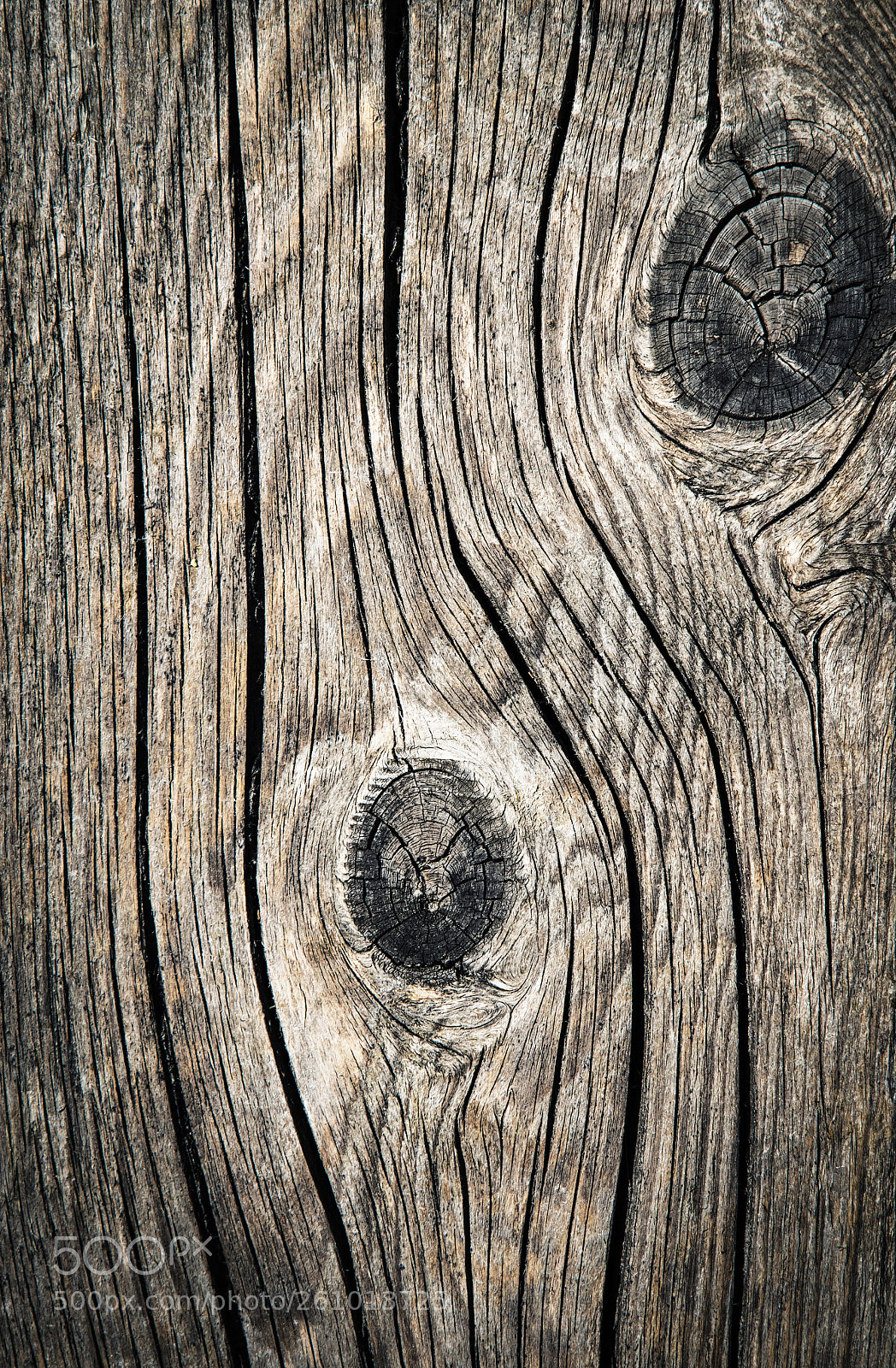 Nikon D5500 sample photo. Detail of old wooden photography