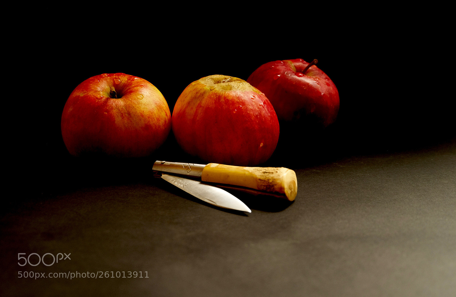 Fujifilm X-T10 sample photo. Manzanas en taramundi .....xt-vr2 photography