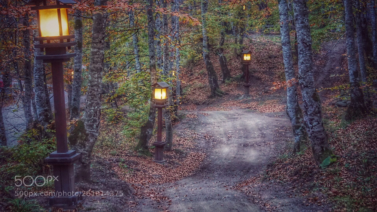 Sony a6000 sample photo. Ulugöl national park photography