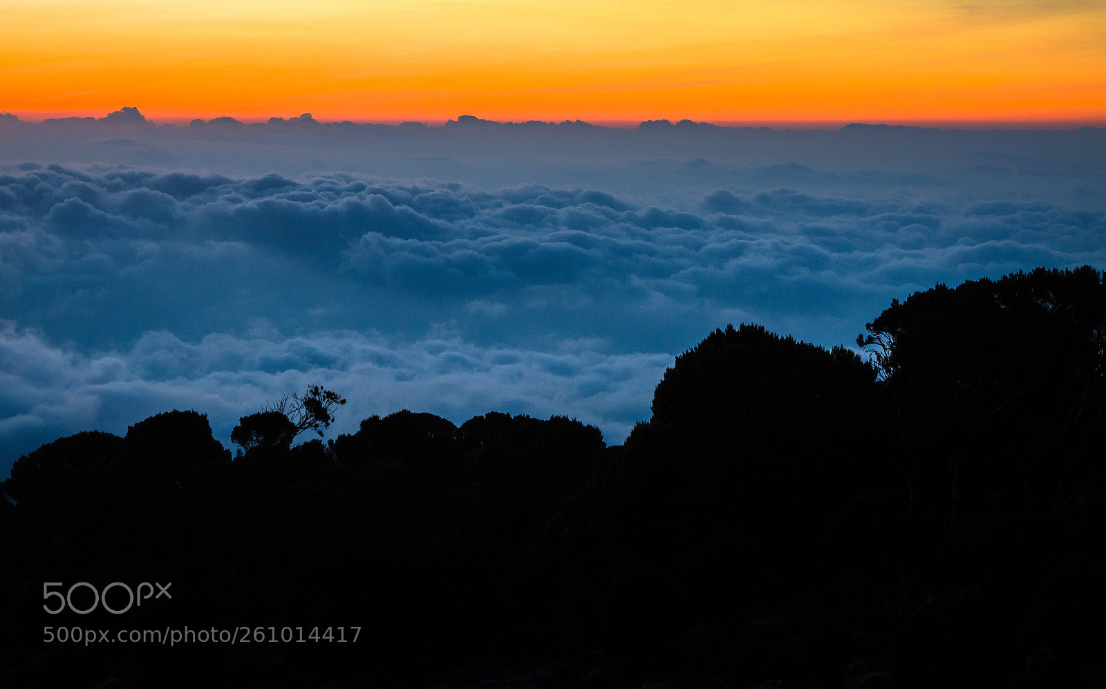Canon EOS 650D (EOS Rebel T4i / EOS Kiss X6i) sample photo. Mount kilimanjaro - the photography