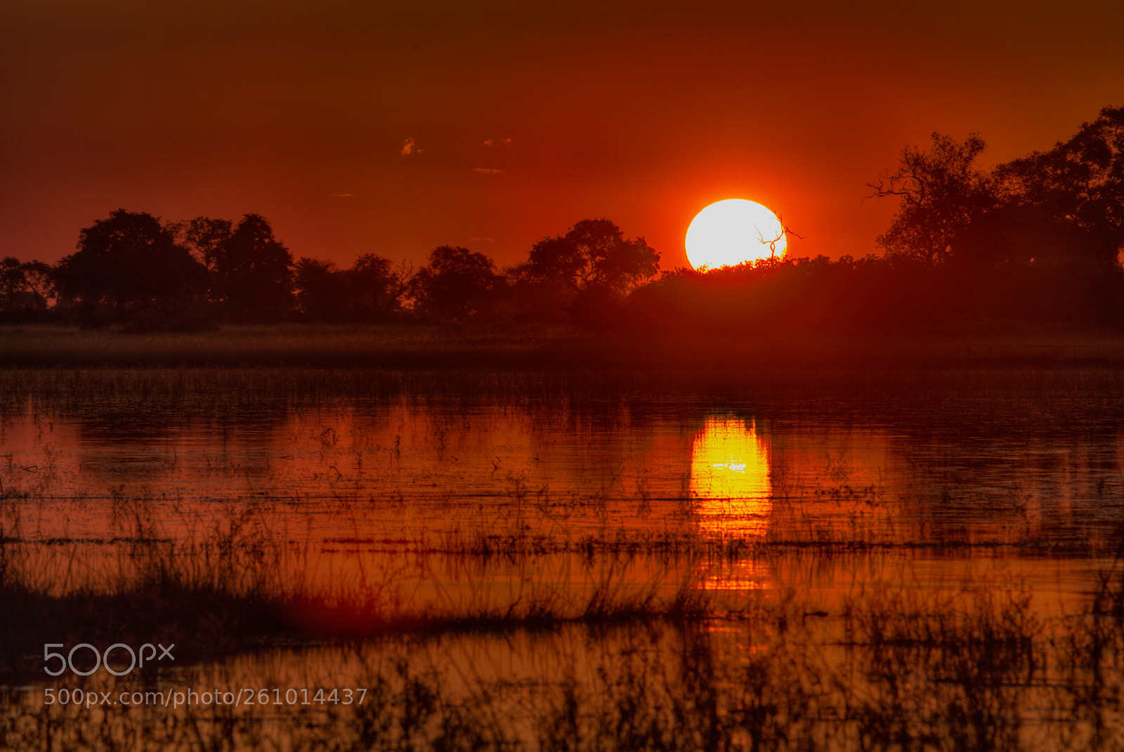 Canon EOS 6D sample photo. Sunset over okavango delta photography