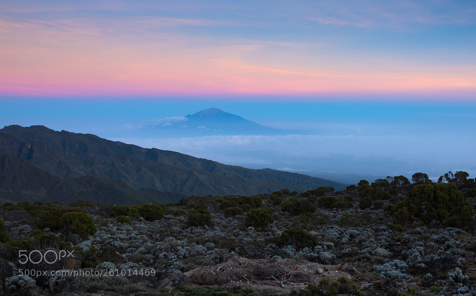Canon EOS 650D (EOS Rebel T4i / EOS Kiss X6i) sample photo. Mount kilimanjaro - the photography