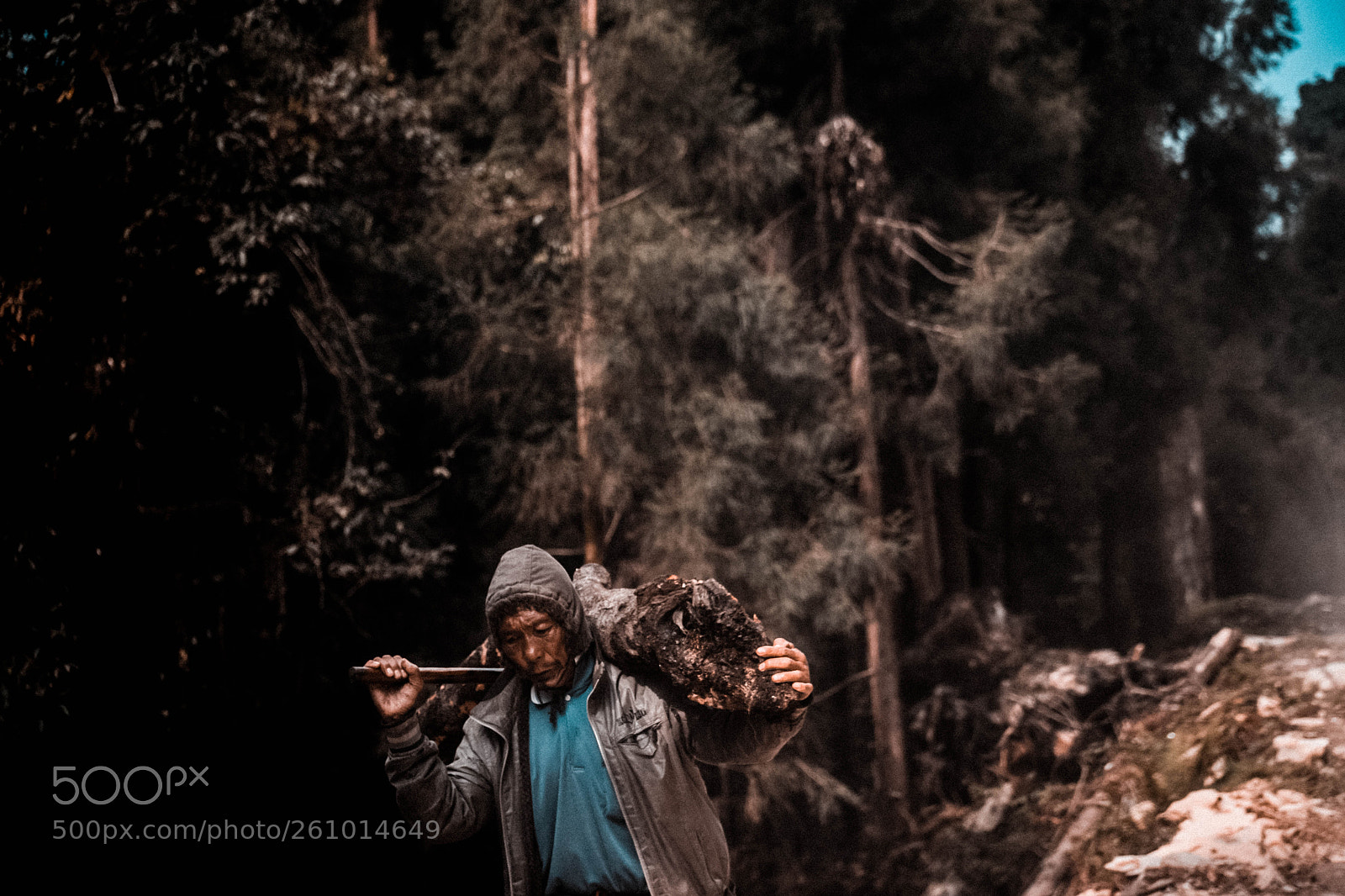 Nikon D5300 sample photo. The unknown worker photography