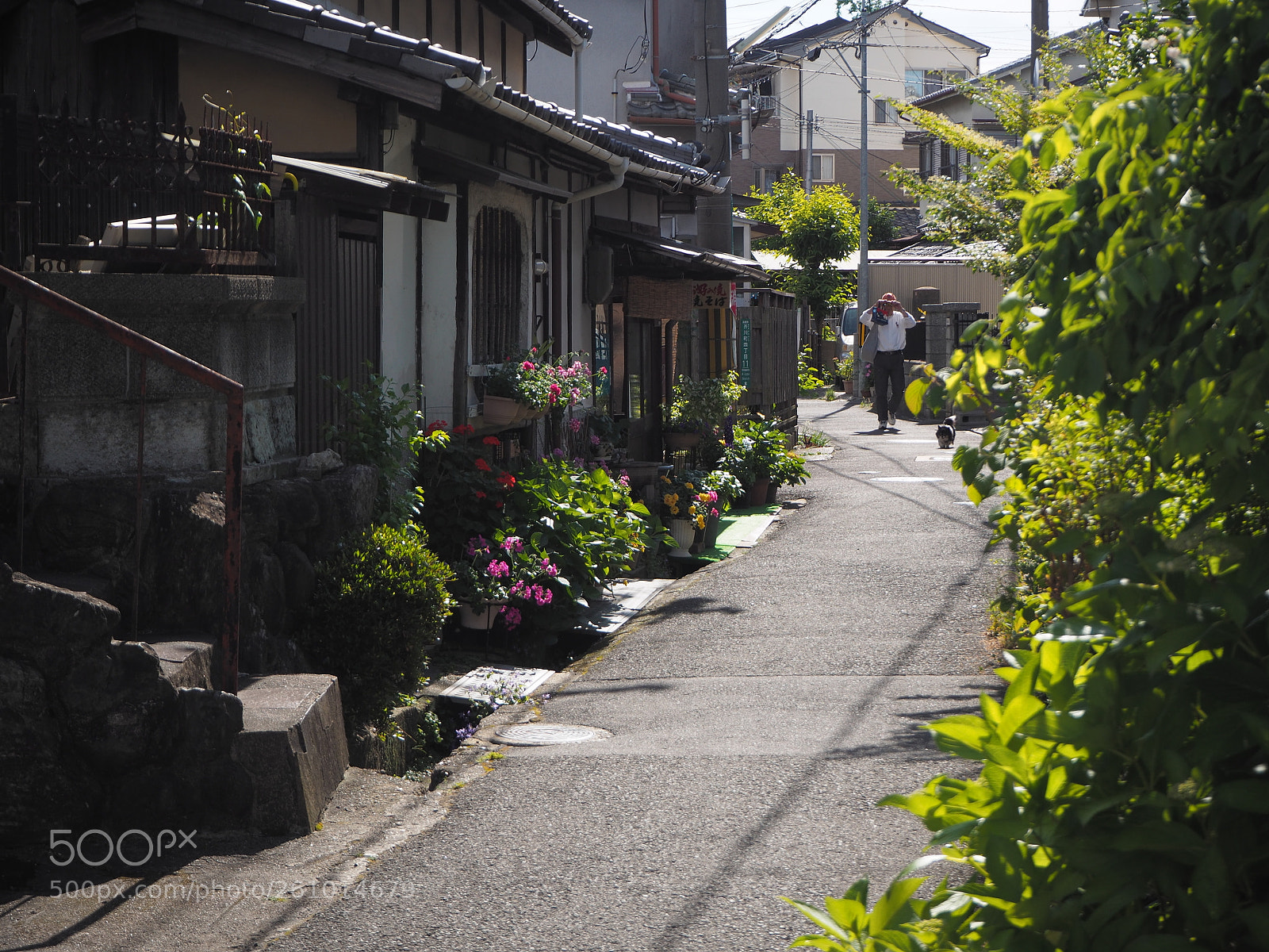Olympus OM-D E-M10 II sample photo. My favorite alley photography