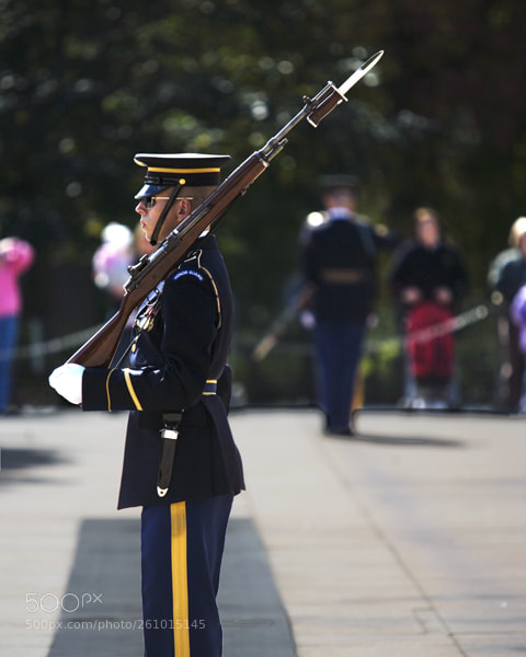 Canon EOS-1Ds Mark II sample photo. Arlington cemetery i photography