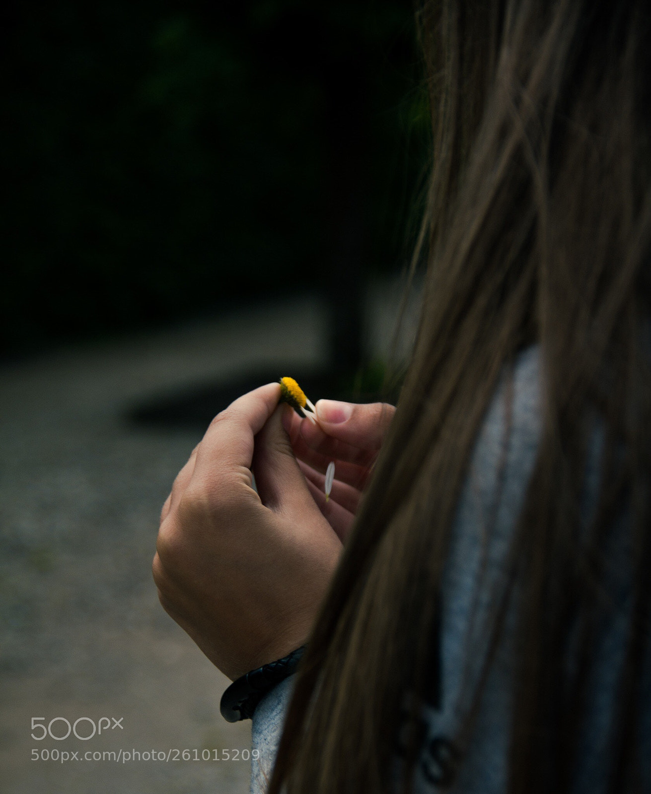 Canon EOS 450D (EOS Rebel XSi / EOS Kiss X2) sample photo. Love? yes or no?
 photography