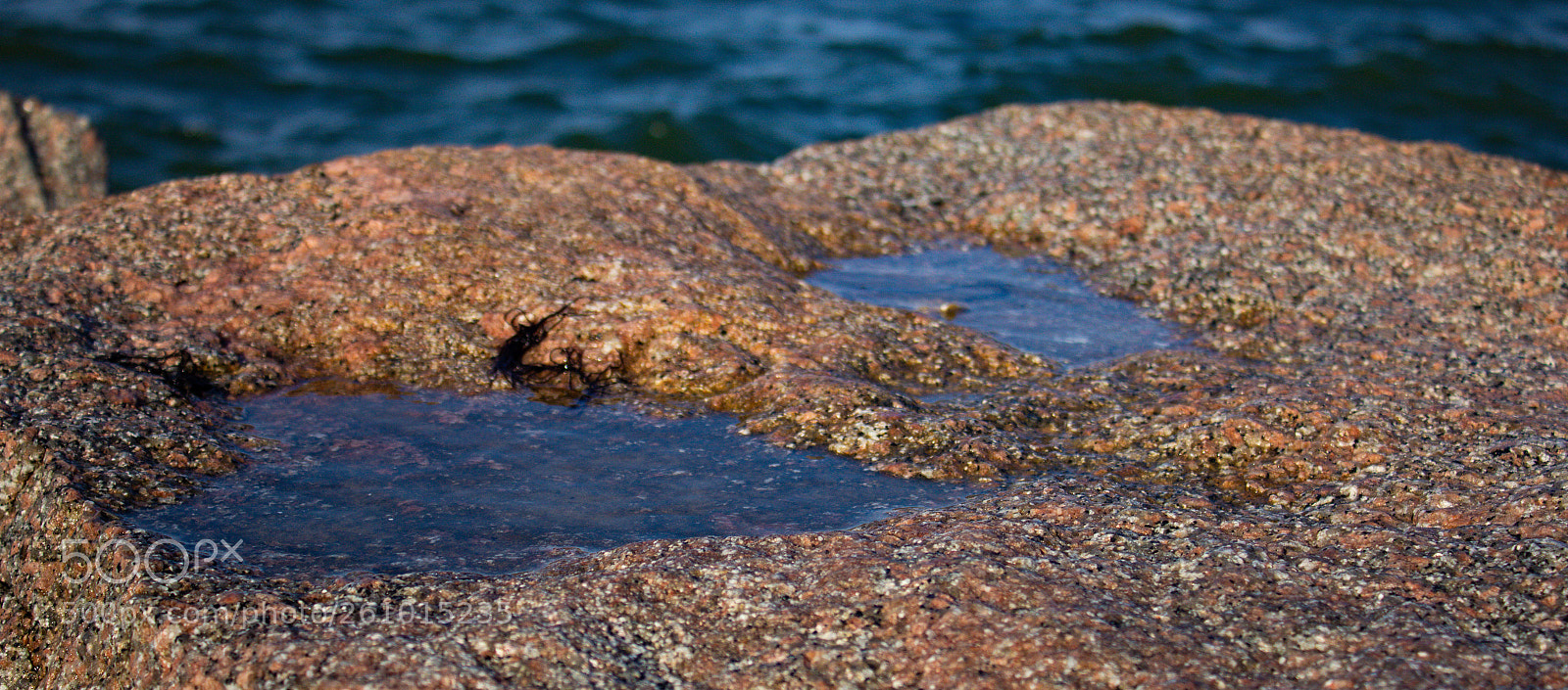 Canon EOS 60D sample photo. Puddle by the sea photography