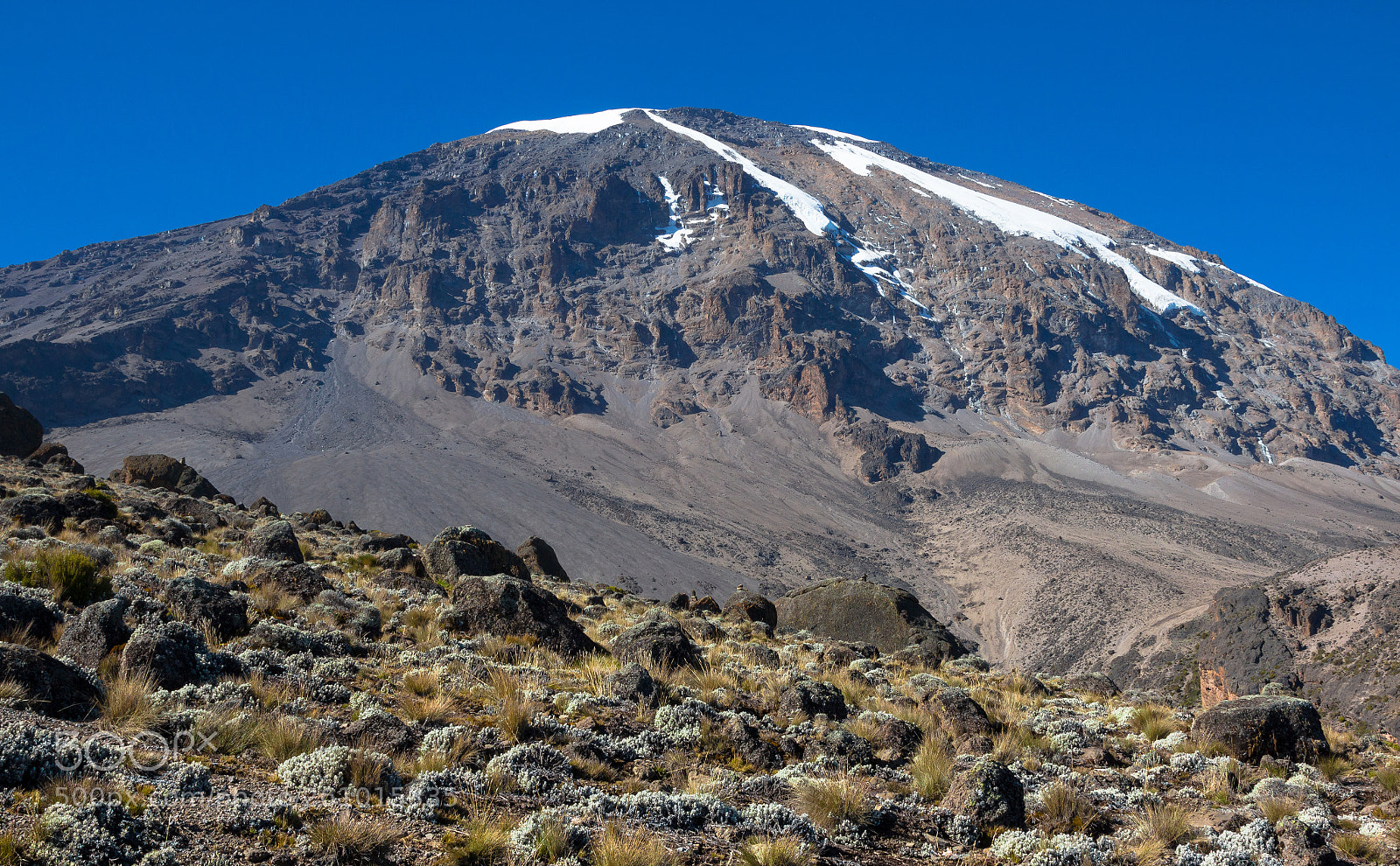 Canon EOS 650D (EOS Rebel T4i / EOS Kiss X6i) sample photo. Mount kilimanjaro - the photography