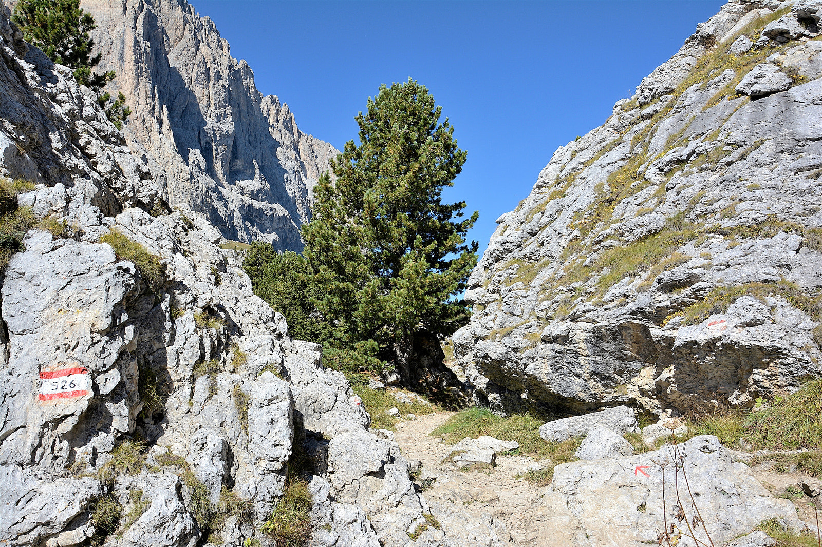 Nikon D5200 sample photo. Trekking path photography
