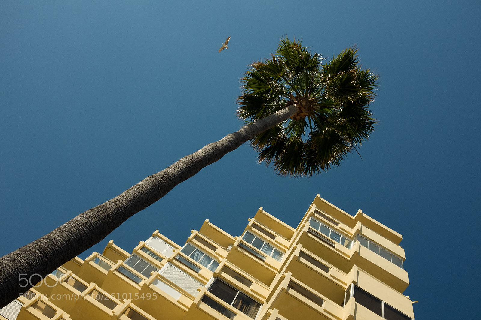 Fujifilm X100T sample photo. Yellow and blue photography