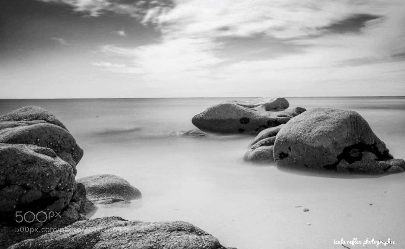 Canon EOS 6D sample photo. Untitled photography