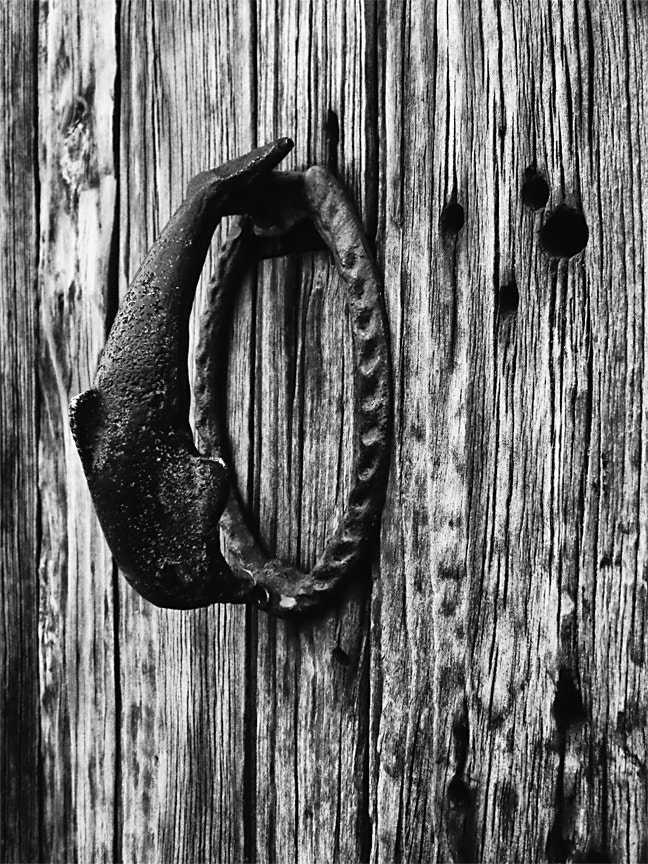 Canon PowerShot A3300 IS sample photo. Door knocker little out of the water photography