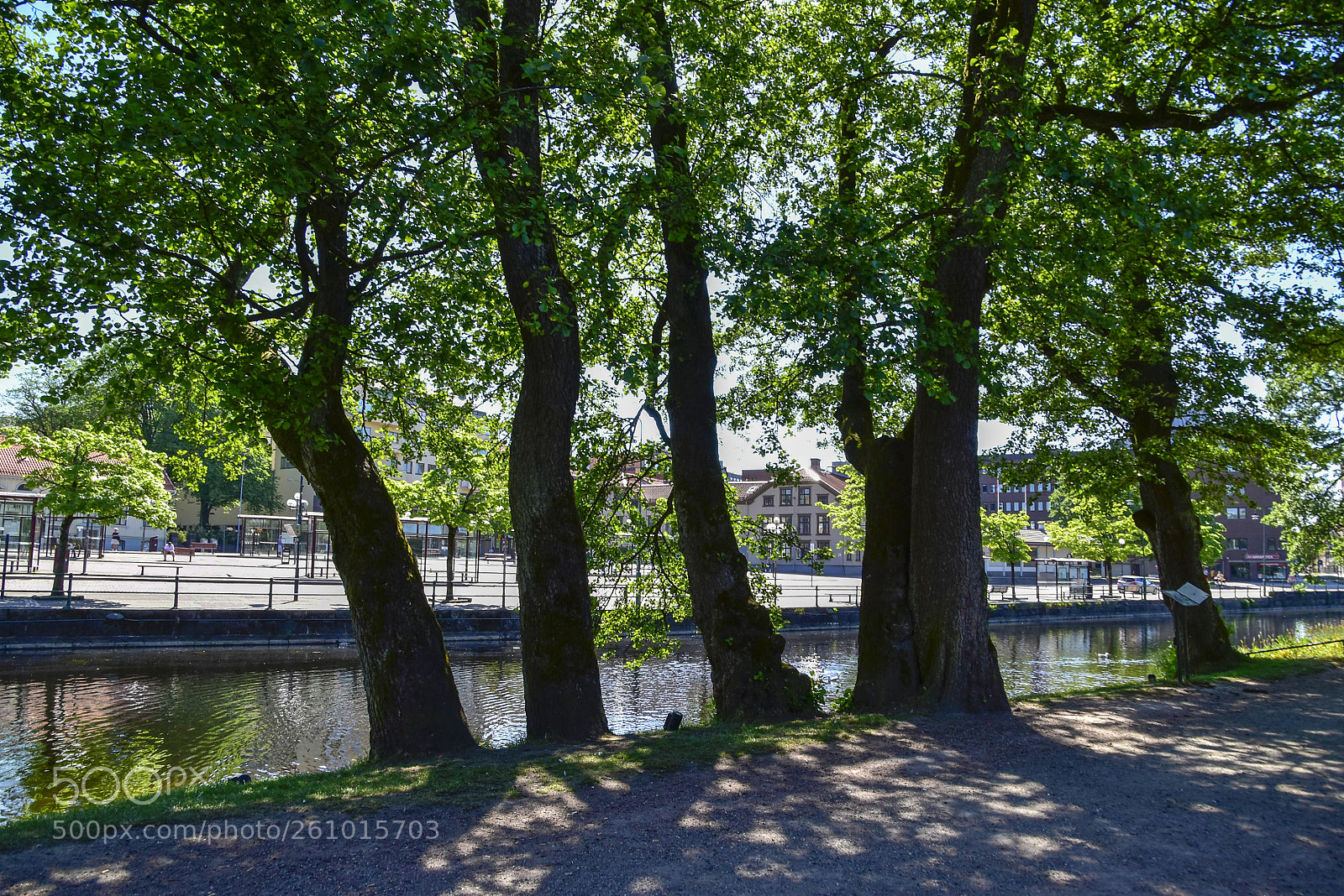 Nikon D5500 sample photo. Stadsparken_04 photography