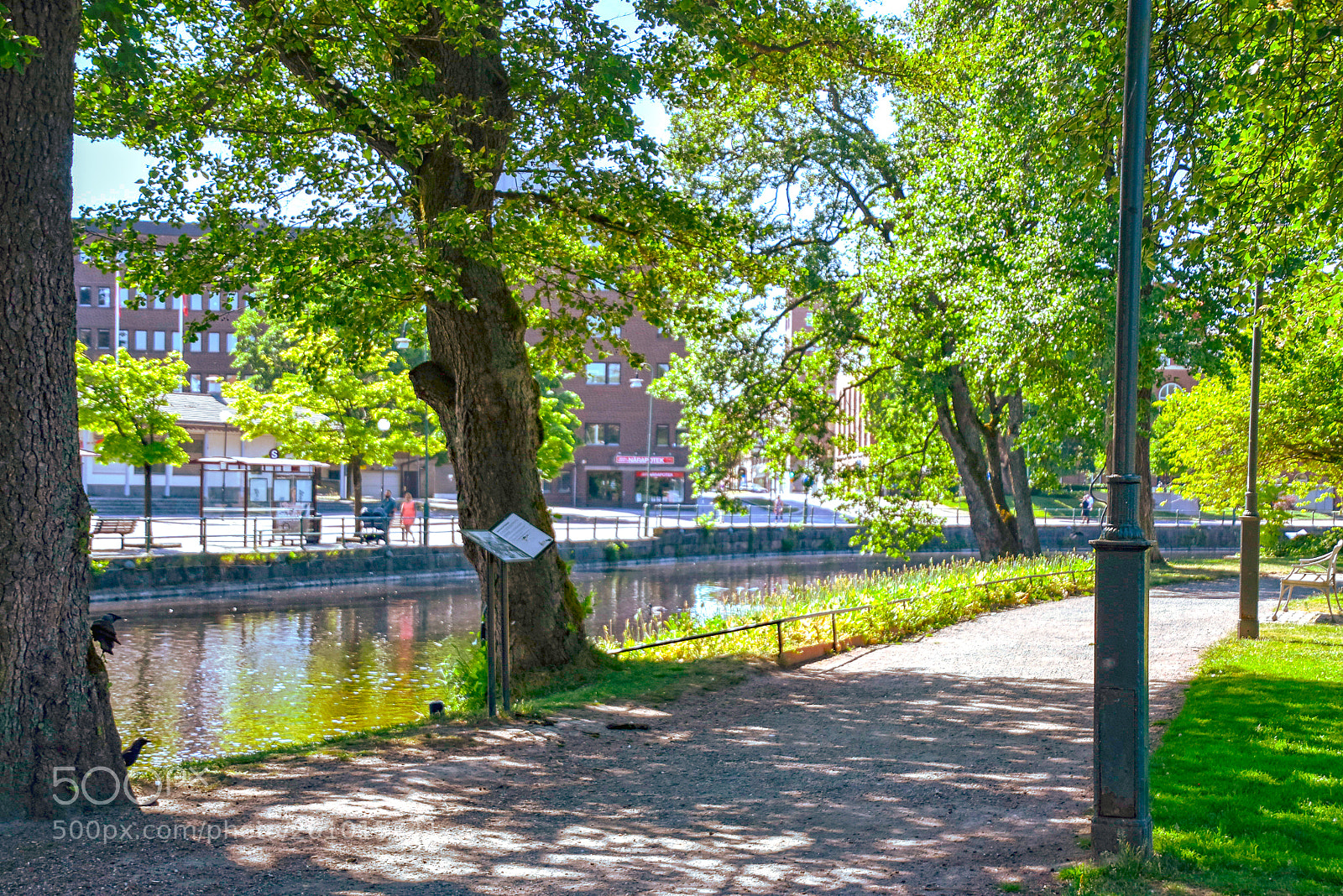 Nikon D5500 sample photo. Stadsparken_05 photography