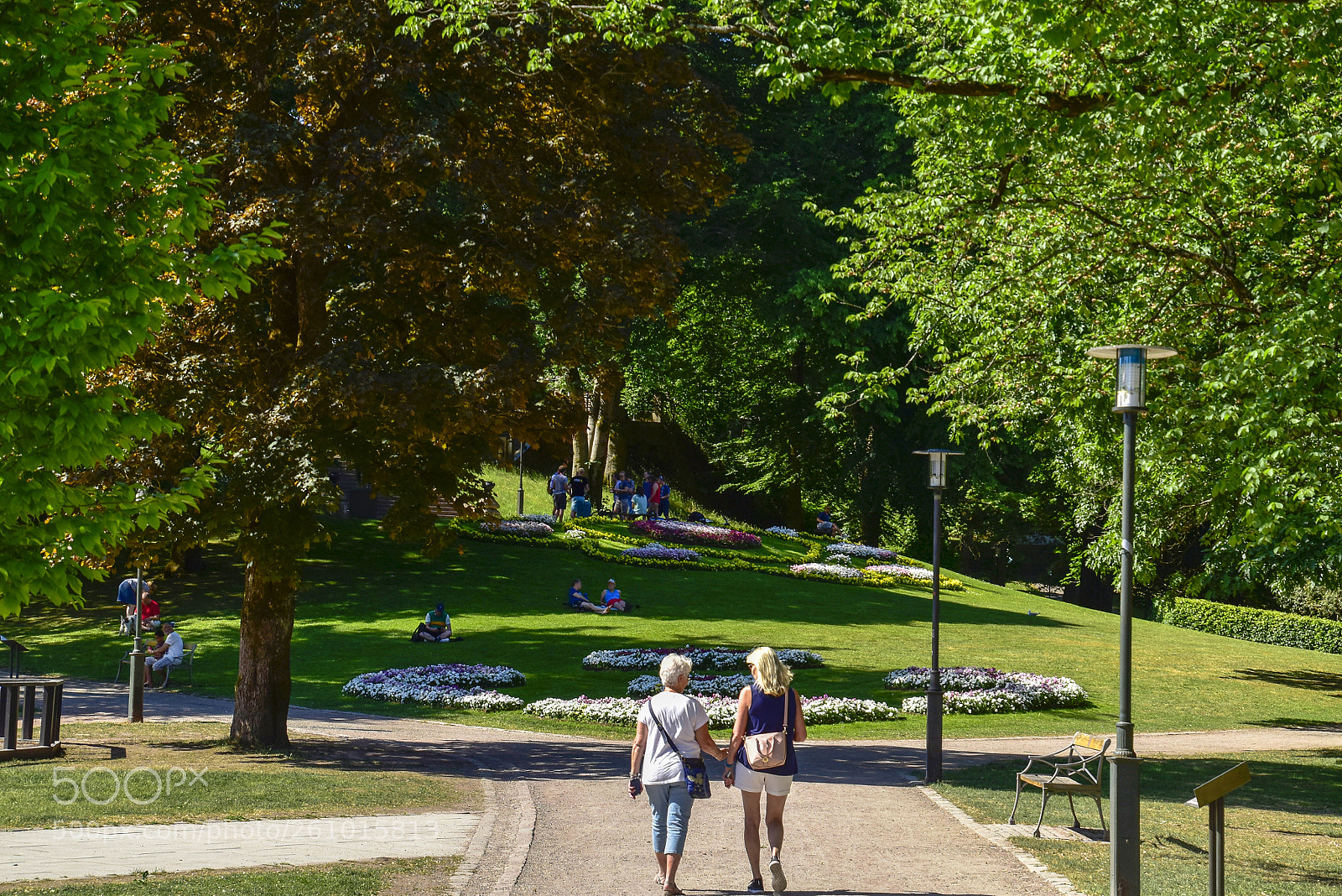Nikon D5500 sample photo. Stadsparken_06 photography