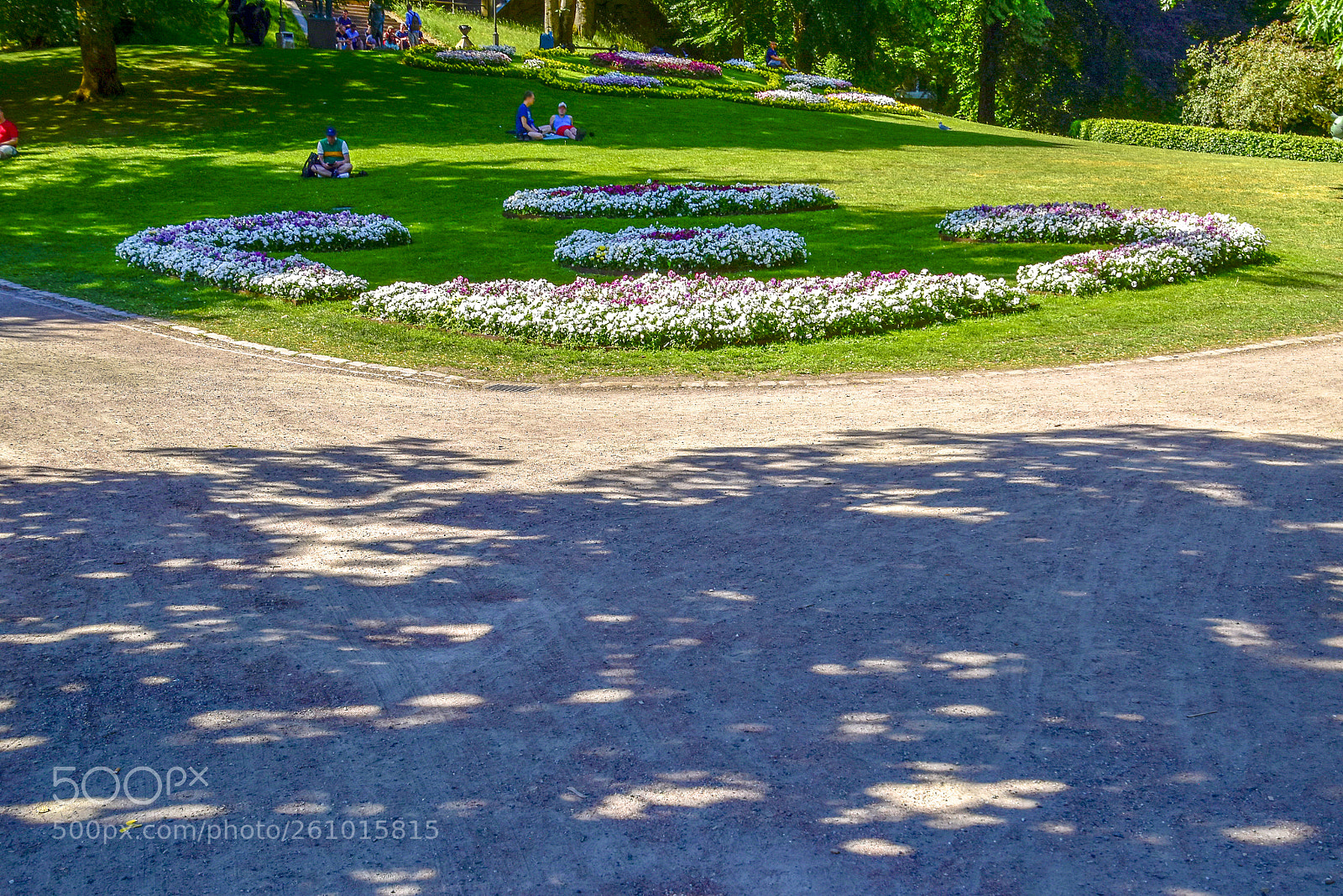 Nikon D5500 sample photo. Stadsparken_01 photography
