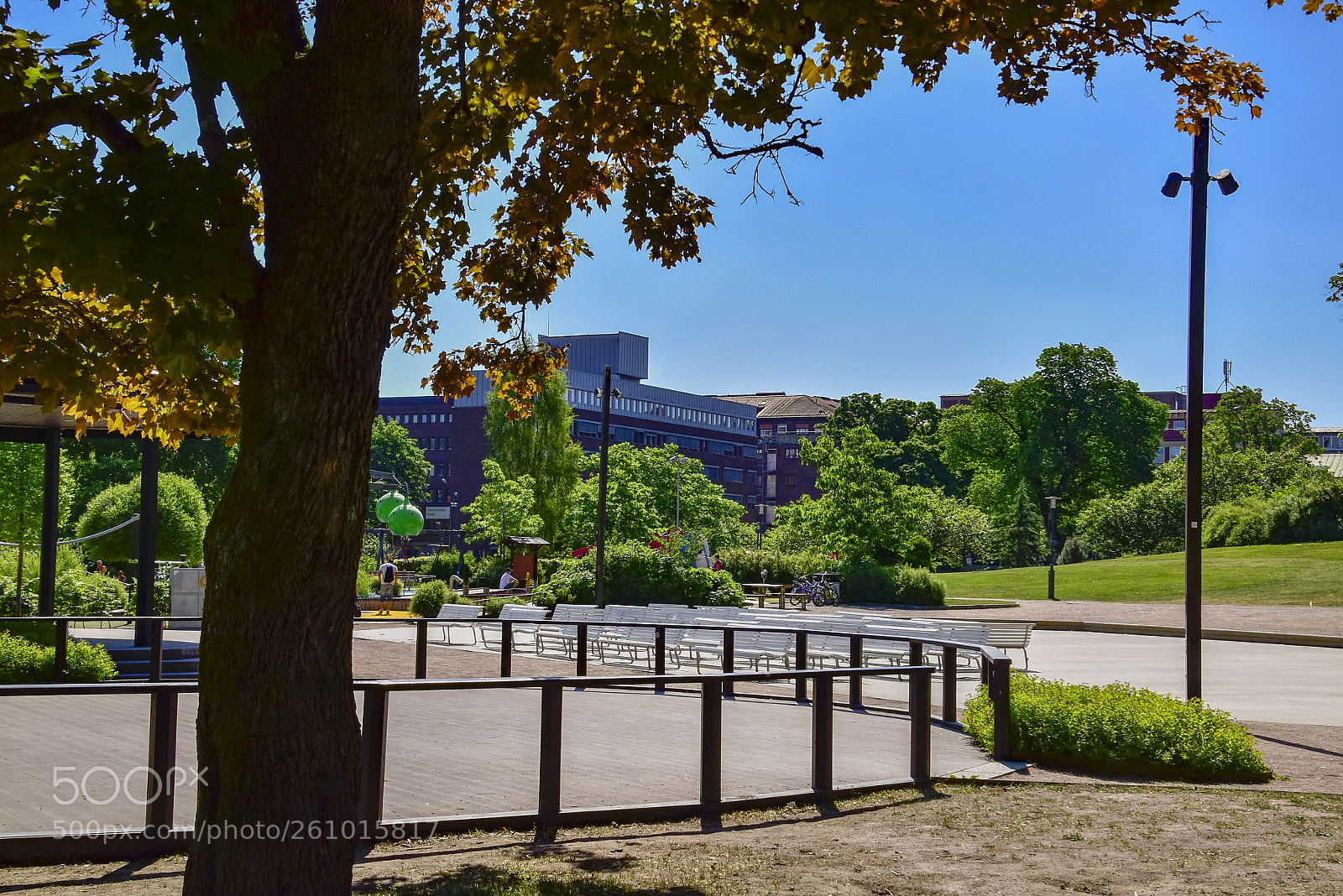 Nikon D5500 sample photo. Stadsparken_02 photography