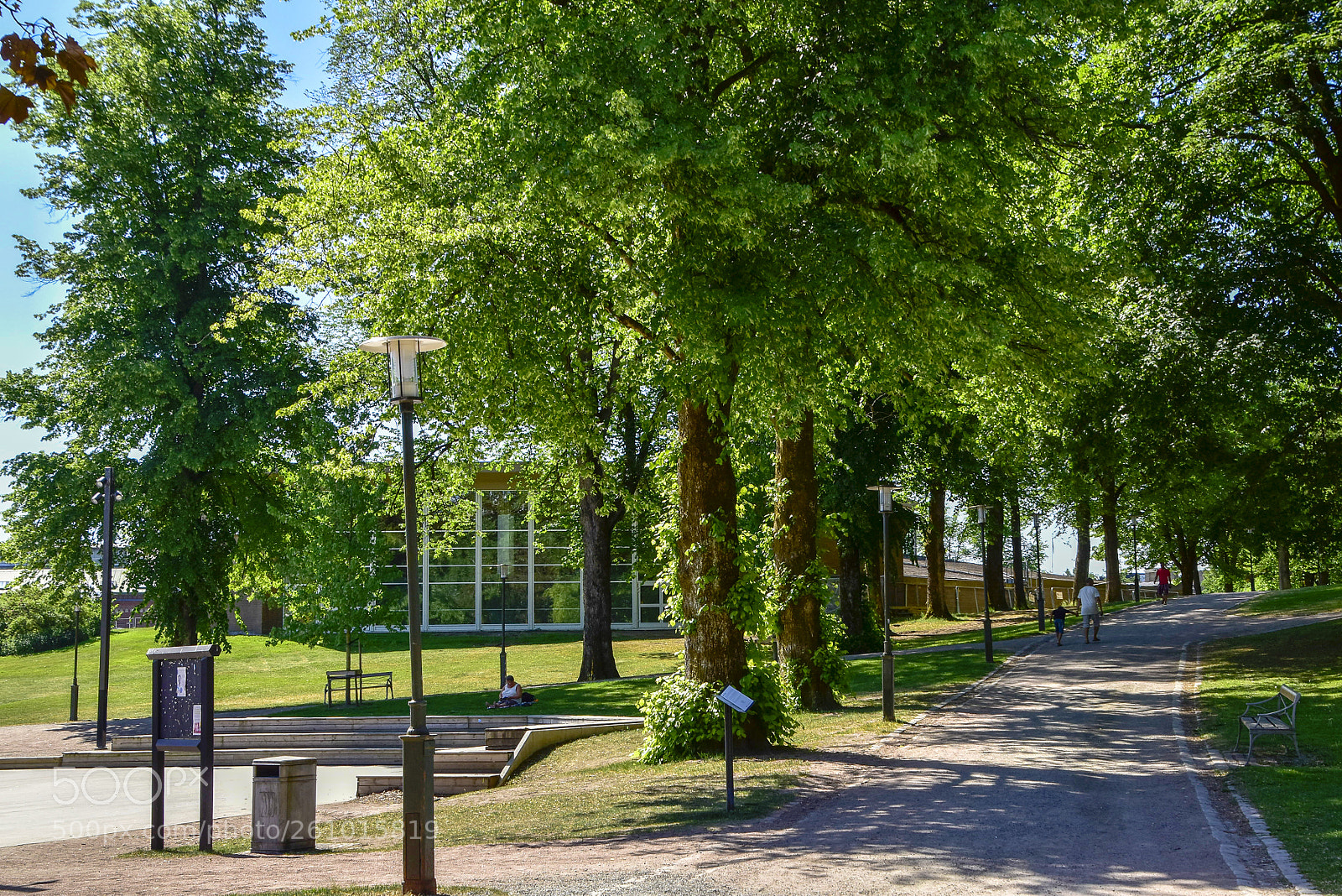 Nikon D5500 sample photo. Stadsparken_03 photography