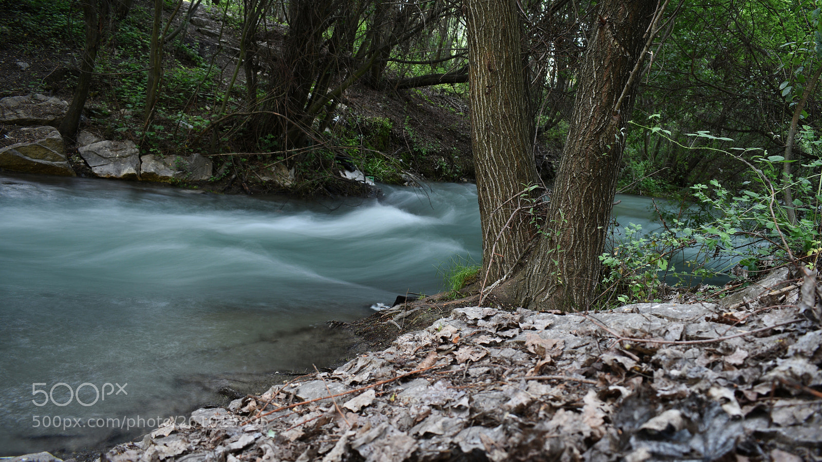 Nikon D3400 sample photo. Granada photography