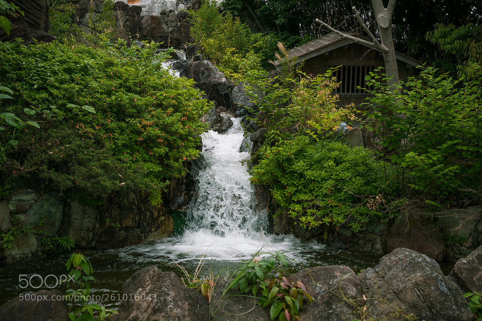 Canon EOS 50D sample photo. Img photography