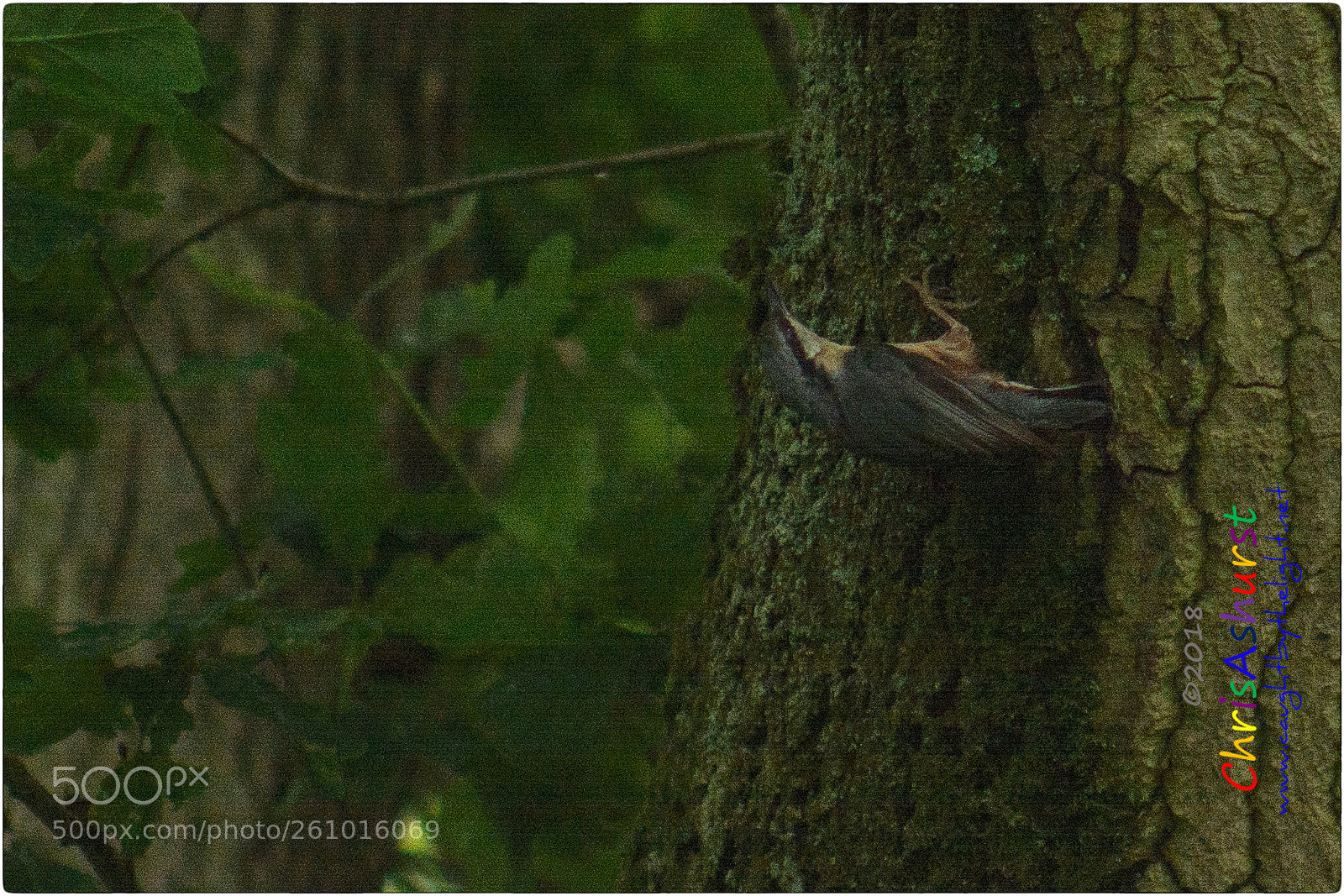 Nikon D7100 sample photo. Pulborough brooks rspb photography