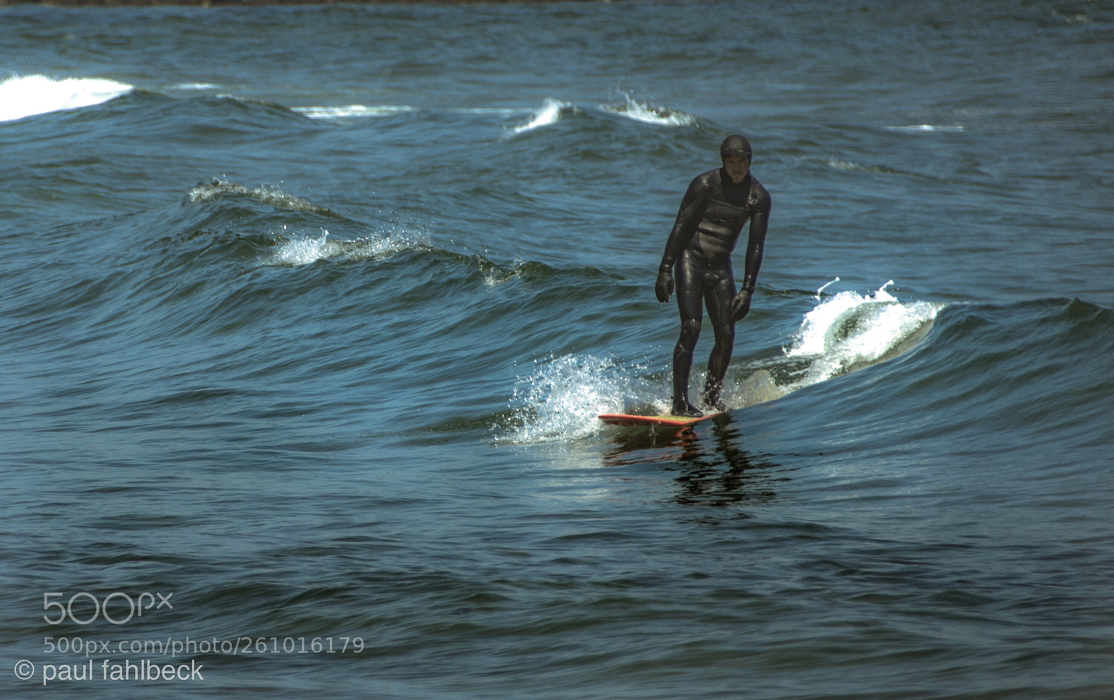 Nikon D7200 sample photo. Untitled photography