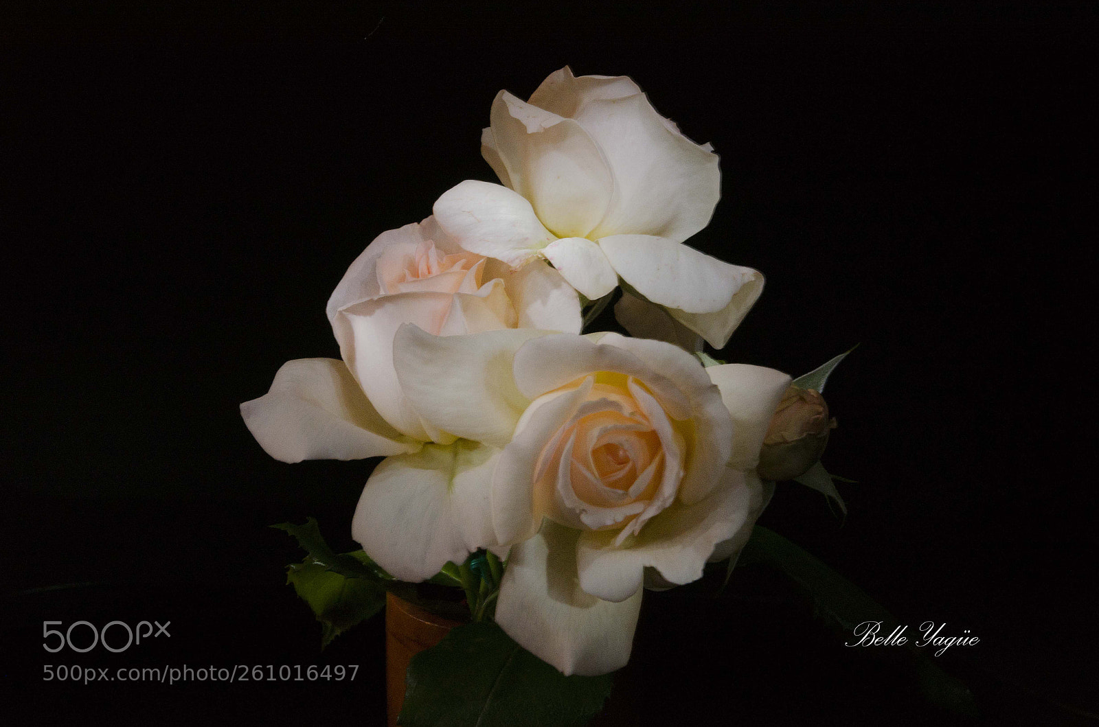 Nikon D7000 sample photo. Delicadeza photography