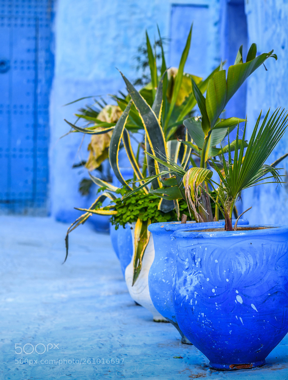 Nikon D500 sample photo. Flower pots on doorstep photography