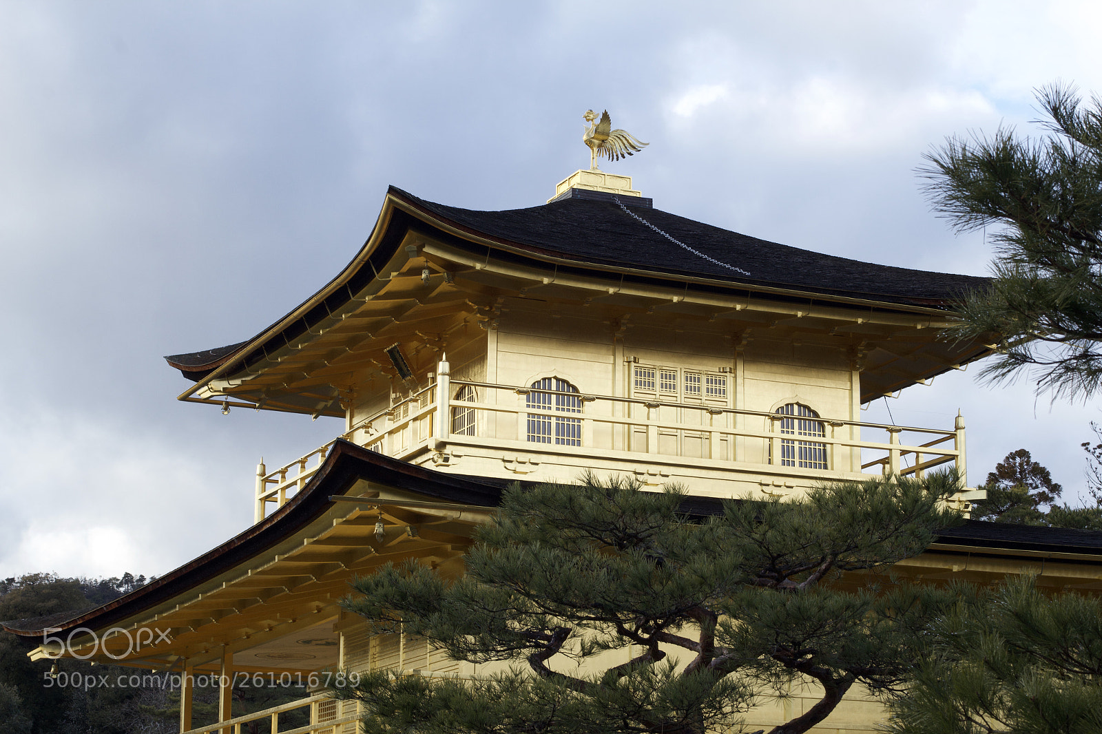 Canon EOS 60D sample photo. Golden leaf temple, kyoto! photography