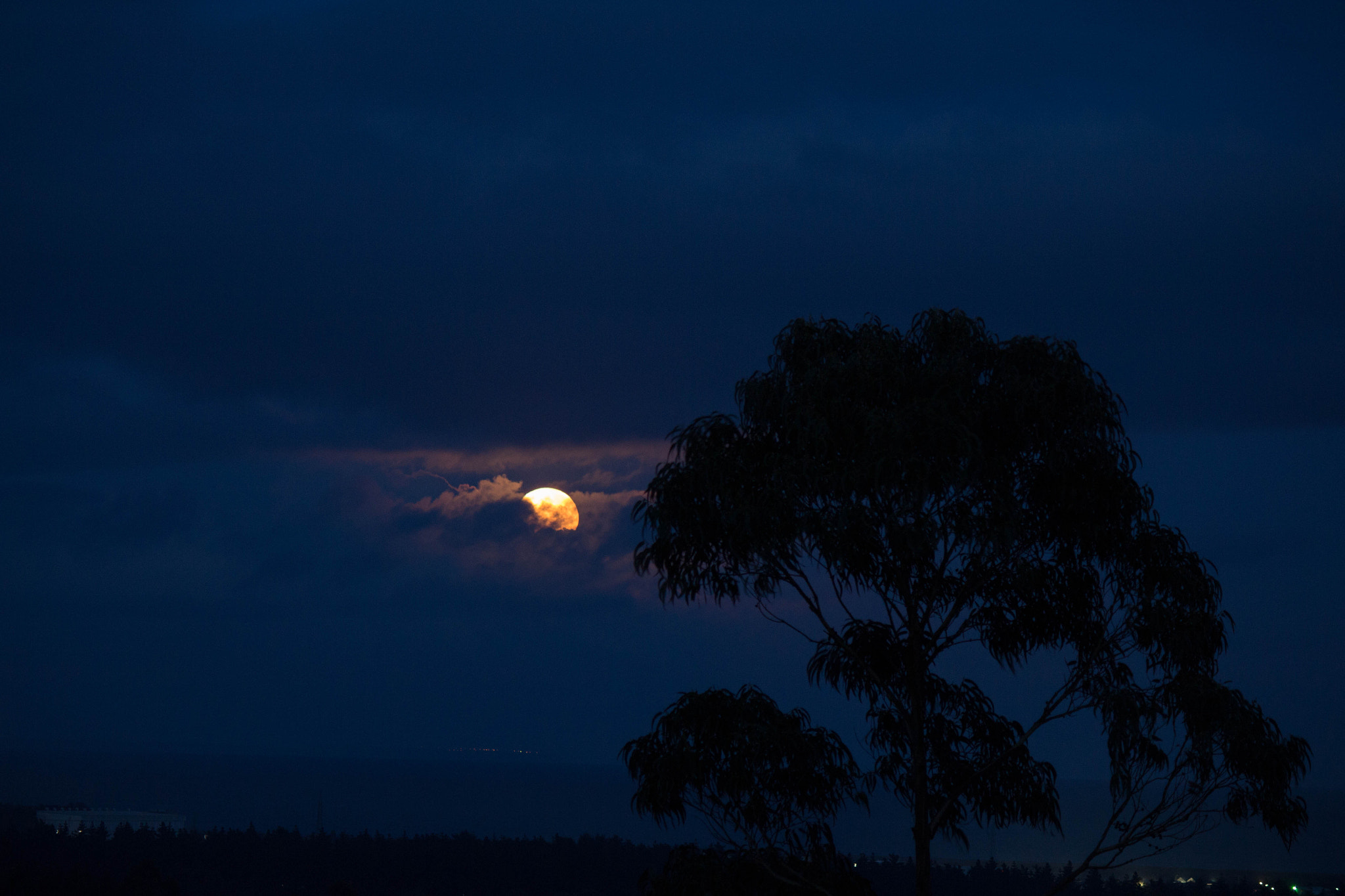 Canon EOS 650D (EOS Rebel T4i / EOS Kiss X6i) sample photo. Goodbye moon photography