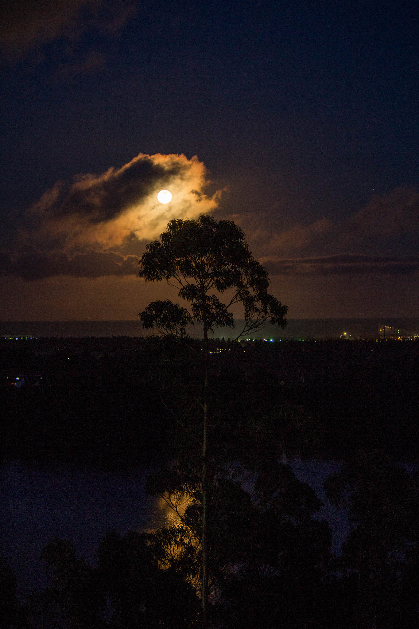 Canon EOS 650D (EOS Rebel T4i / EOS Kiss X6i) sample photo. Goodbye moon photography