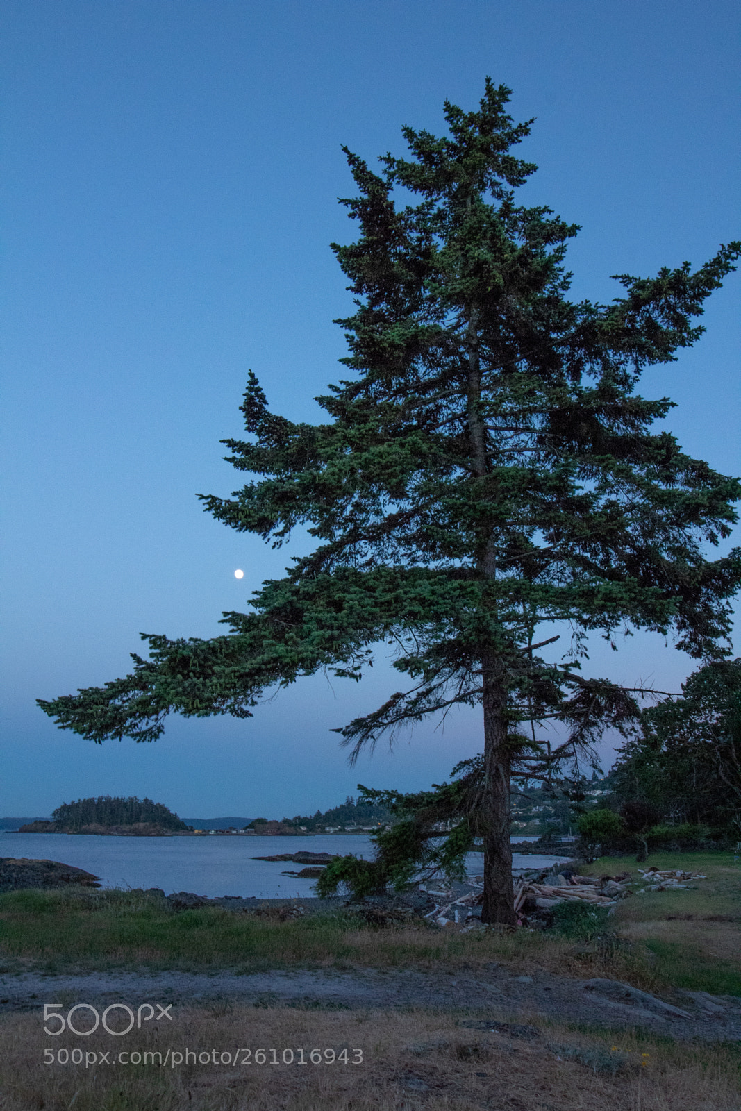 Canon EOS 1300D (EOS Rebel T6 / EOS Kiss X80) sample photo. Nanaimo moonrise photography