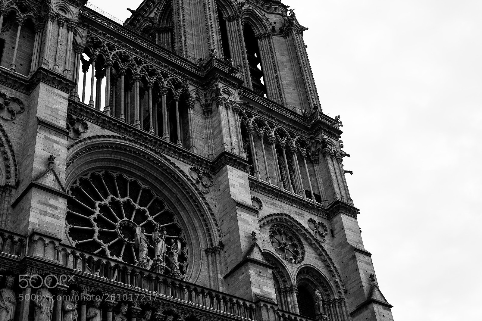 Canon EOS-1D X sample photo. Untitled photography