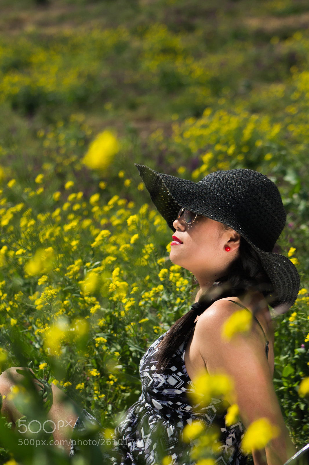 Canon EOS 700D (EOS Rebel T5i / EOS Kiss X7i) sample photo. Yellow flowers photography
