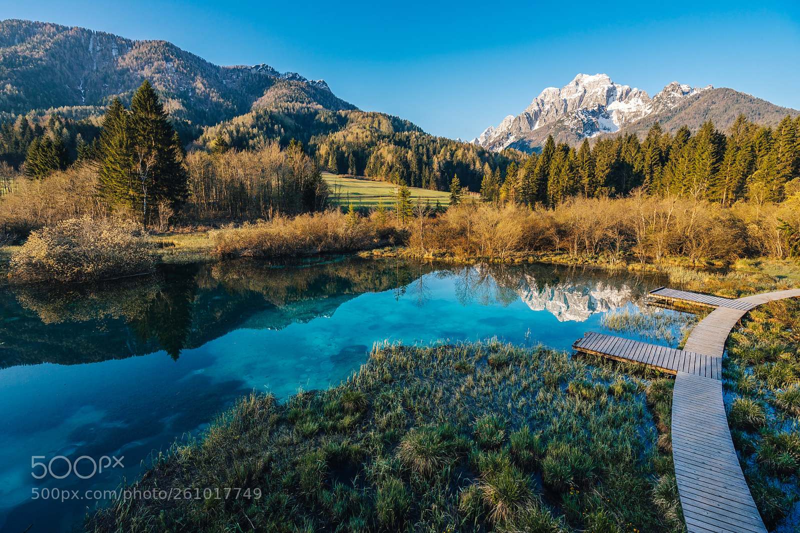 Sony a7 sample photo. Zelenci national park photography