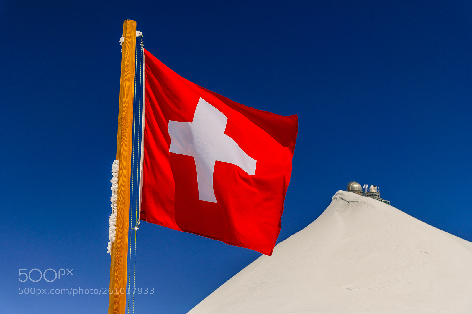 Nikon D850 sample photo. Switzerland flag and sphinx photography
