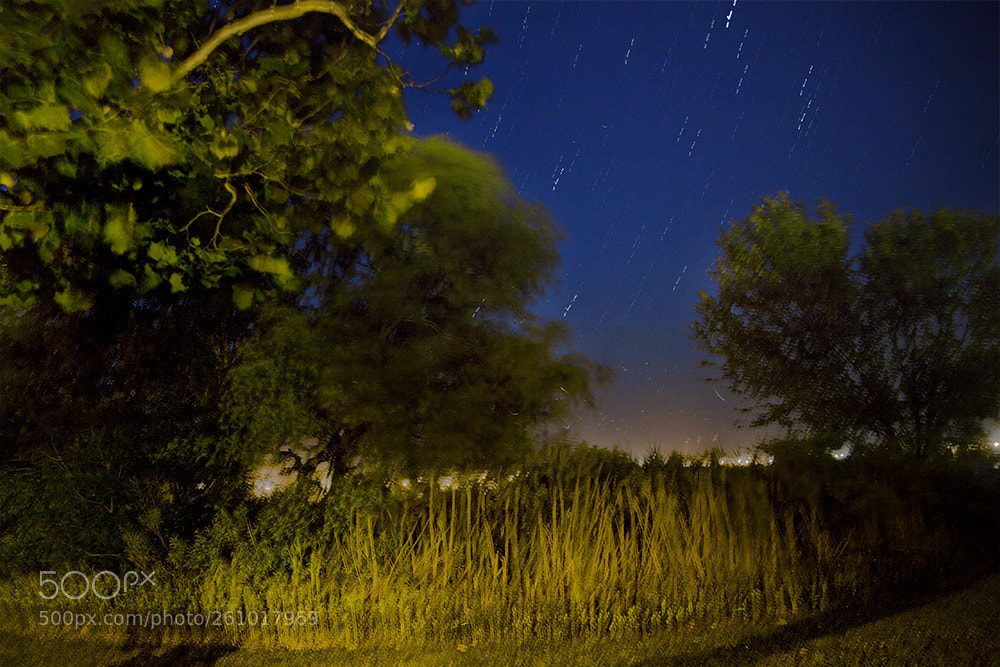 Canon EOS 5D Mark II sample photo. Lakeside photography