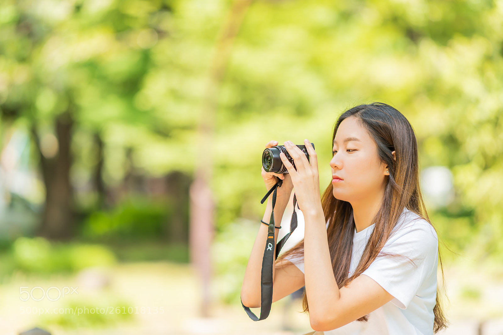 Nikon D810 sample photo. In the park photography